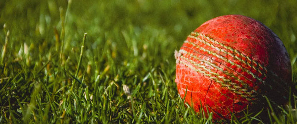 A cricket ball laying in some grass