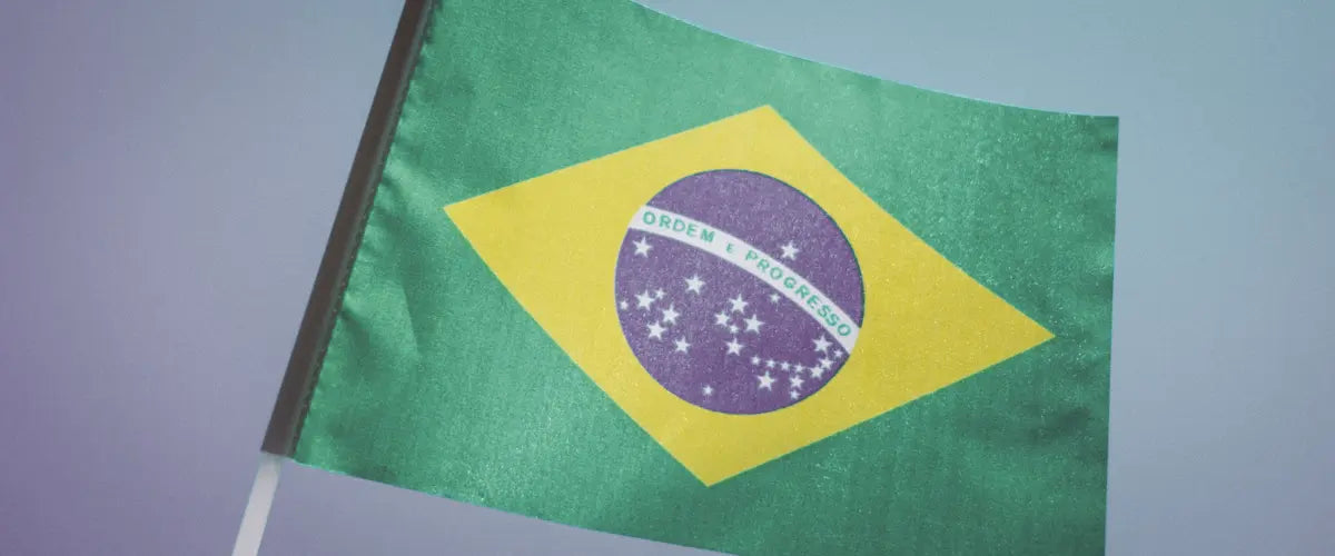 The Brazilian flag