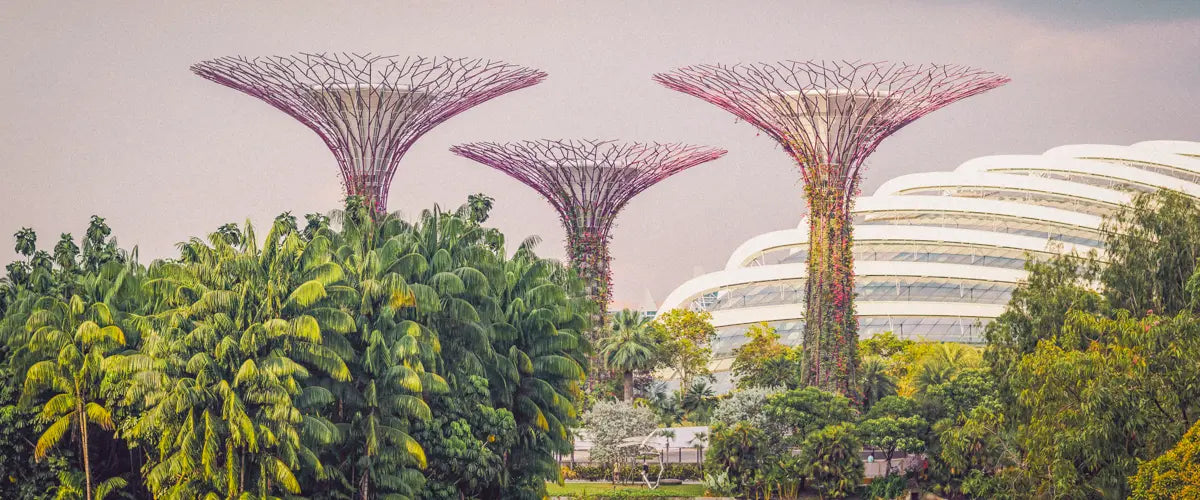 The Gardens By The Bay, Singapore