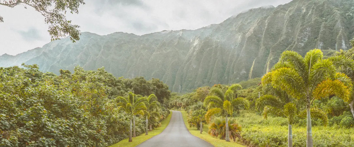 The Koʻolau Mountains at Hoʻomaluhia Botanical Garden in Kāneʻohe, Oʻahu, Hawaii
