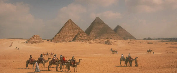 Camels traveling in front of the Pyramids of Giza, Egypt
