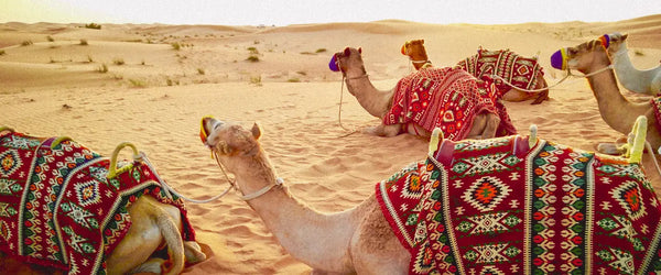 Dubai Travel Tips for First Time Visitors