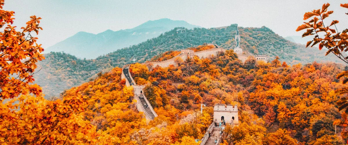 Best Time to Visit China for the Perfect Trip
