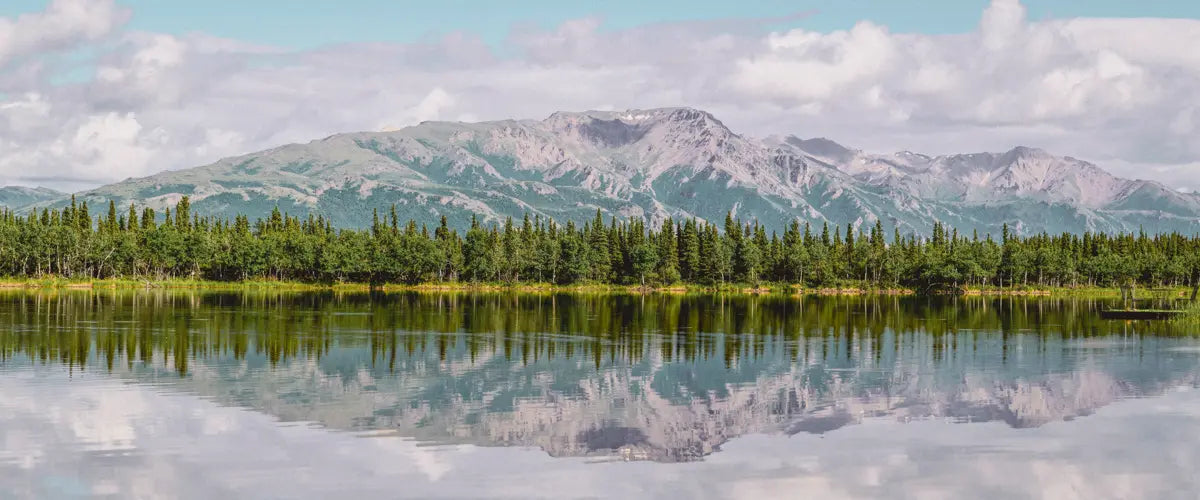 A mountain landscape in the Denali National Park, Alaska, USA