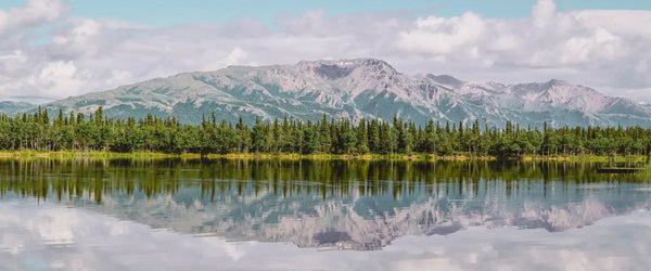 A mountain landscape in the Denali National Park, Alaska, USA