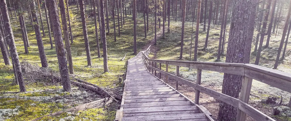 Oulu. Europe's Culture Capital 2026