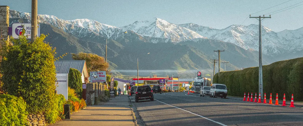 A New Zealand road trip