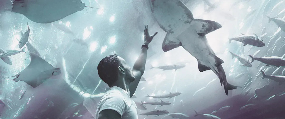 The Best Things to See in Dubai