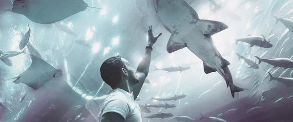 A man watching marine life from below