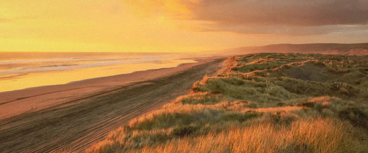 When is the Best Time to Visit New Zealand?