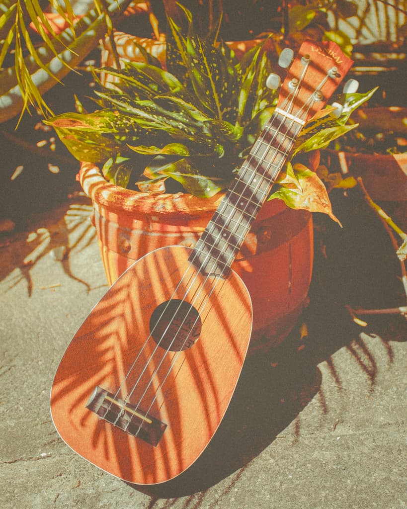 The Best Souvenirs to Bring Home From Hawaii