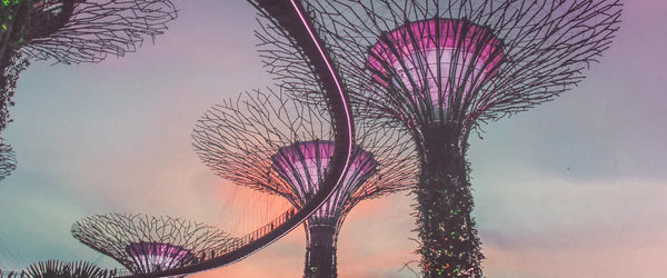 Singapore Travel Budget Guide for Visitors