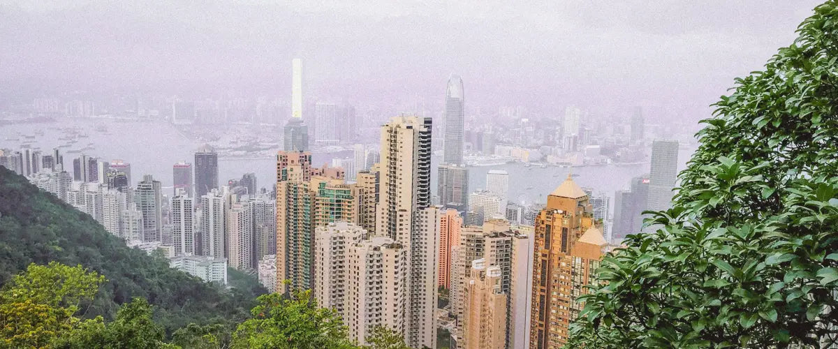 Hong Kong's skyline from Victoria Peak