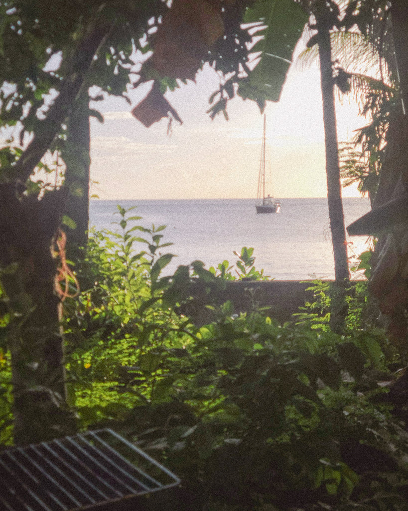 Buy a travel eSIM for Dominica