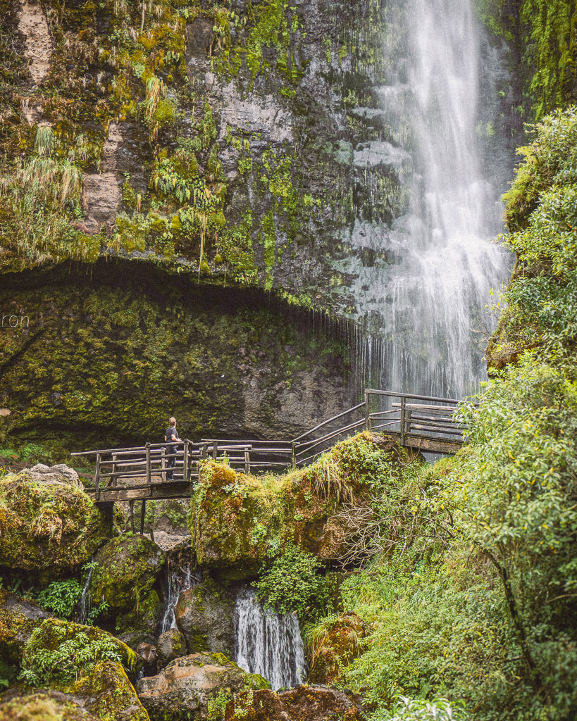 Buy a travel eSIM for Ecuador