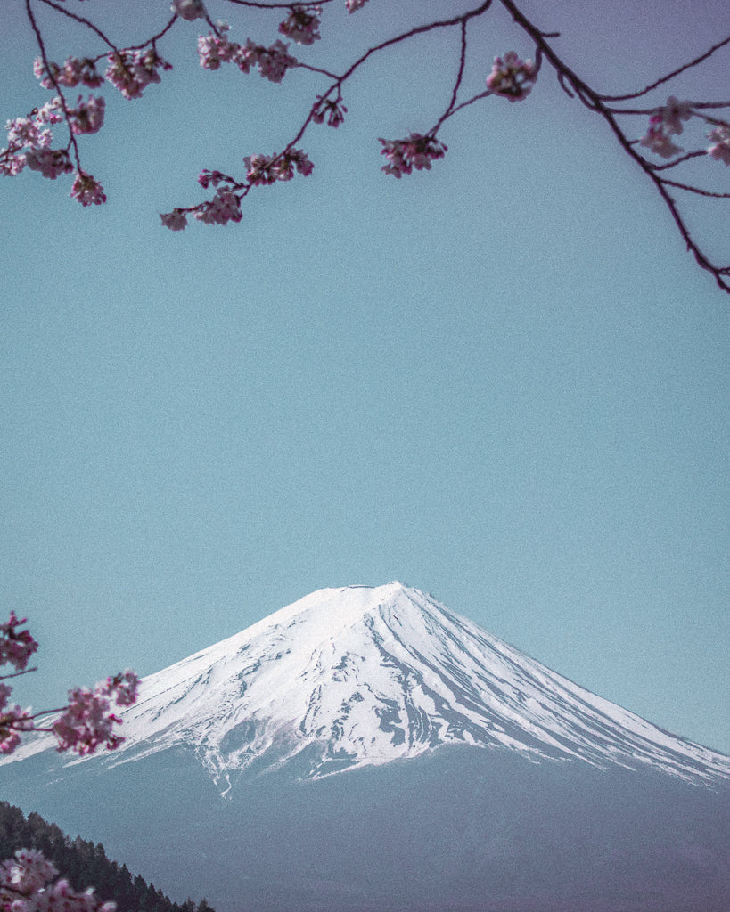 Buy a travel eSIM for Japan