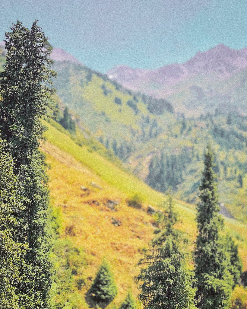 Buy a travel eSIM for Kazakhstan