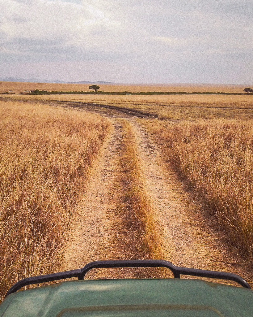 Buy a travel eSIM for Kenya