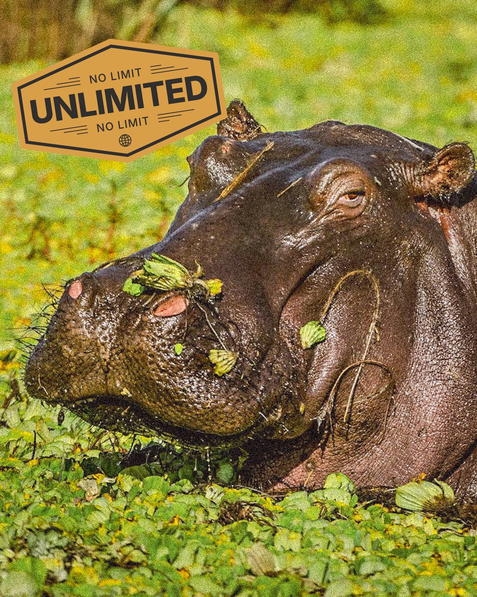 eSIM pour la RDC (Données illimitées)