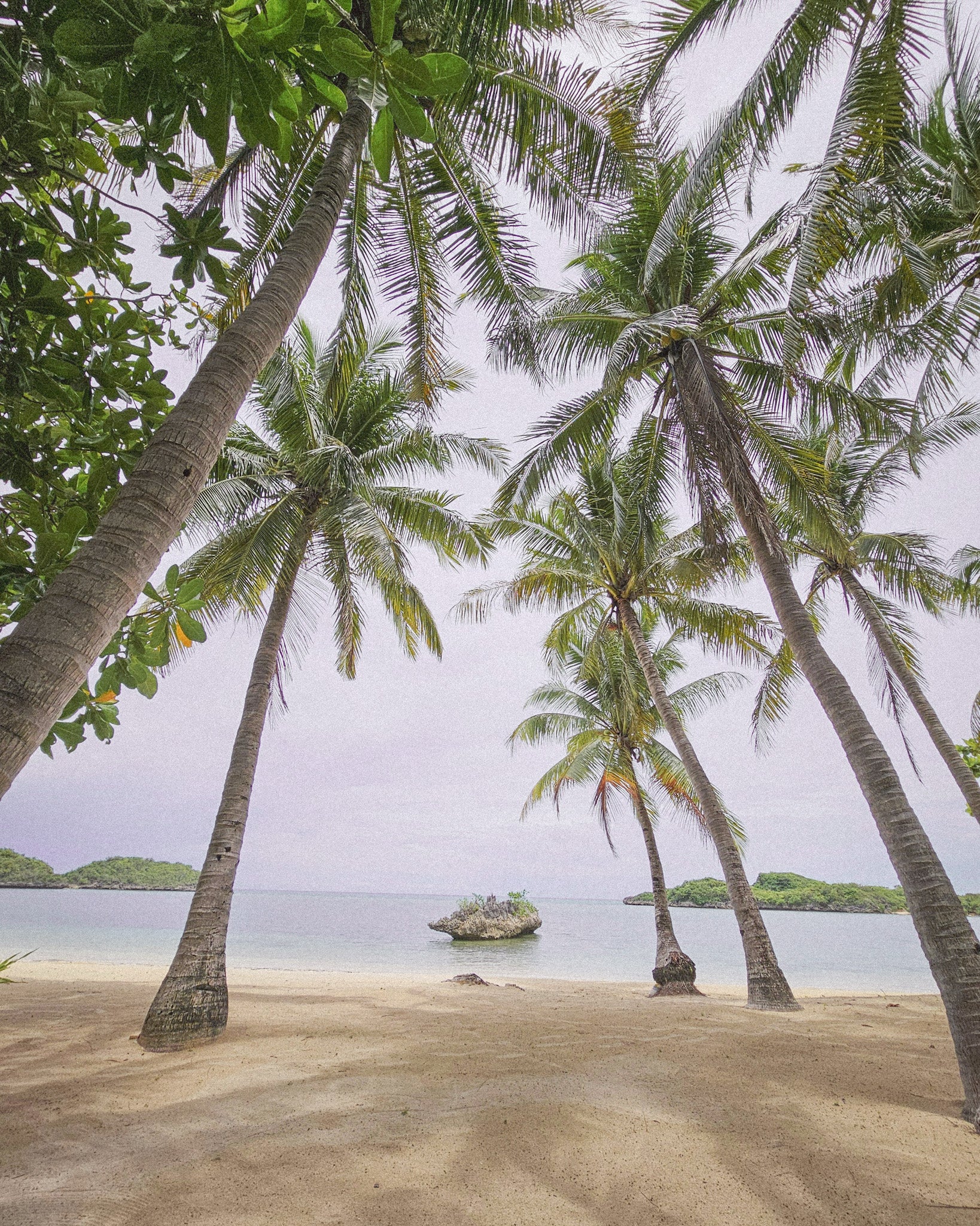 A sandy beach in Fiji, promoting SIMOVO eSIM