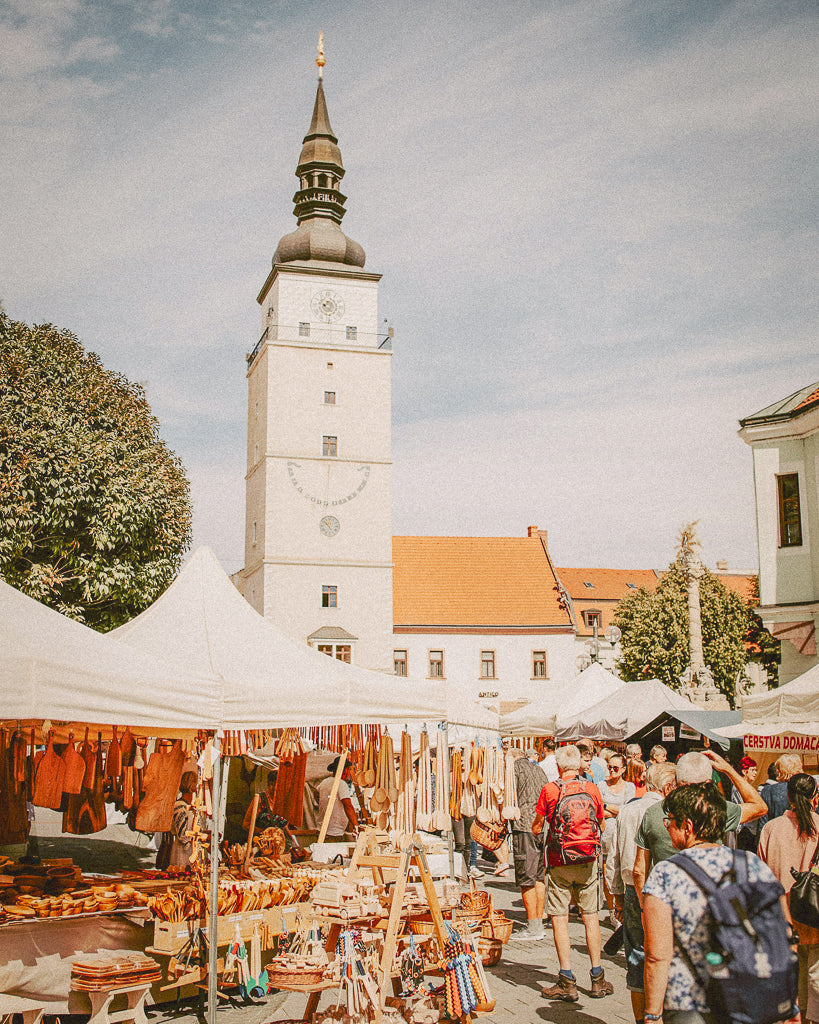 Buy a travel eSIM for Slovakia