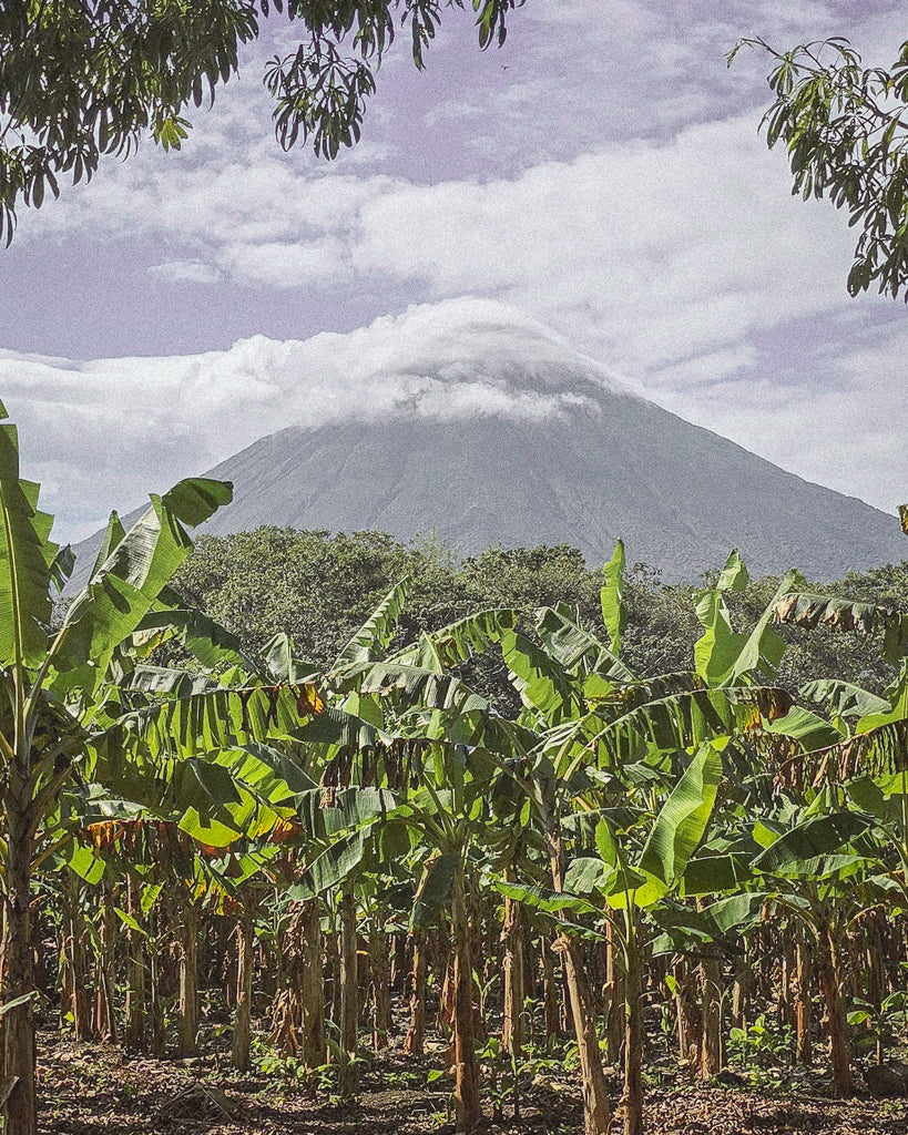 Buy a travel eSIM for Uganda