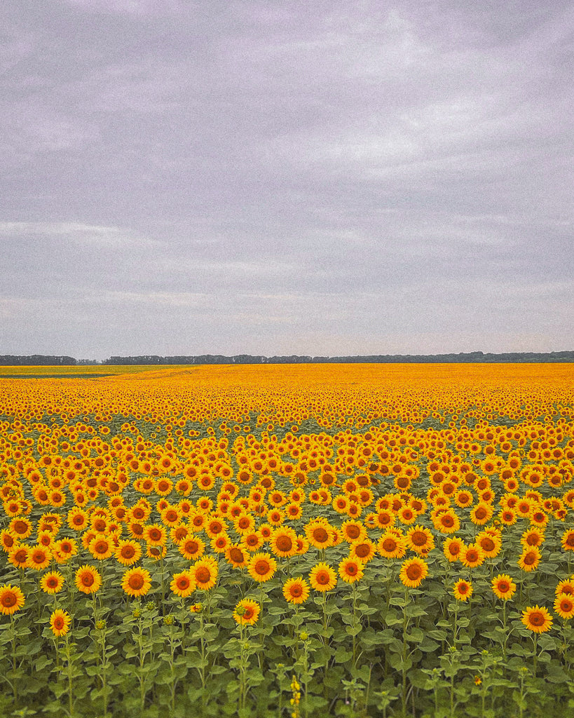 Buy a travel eSIM for Ukraine