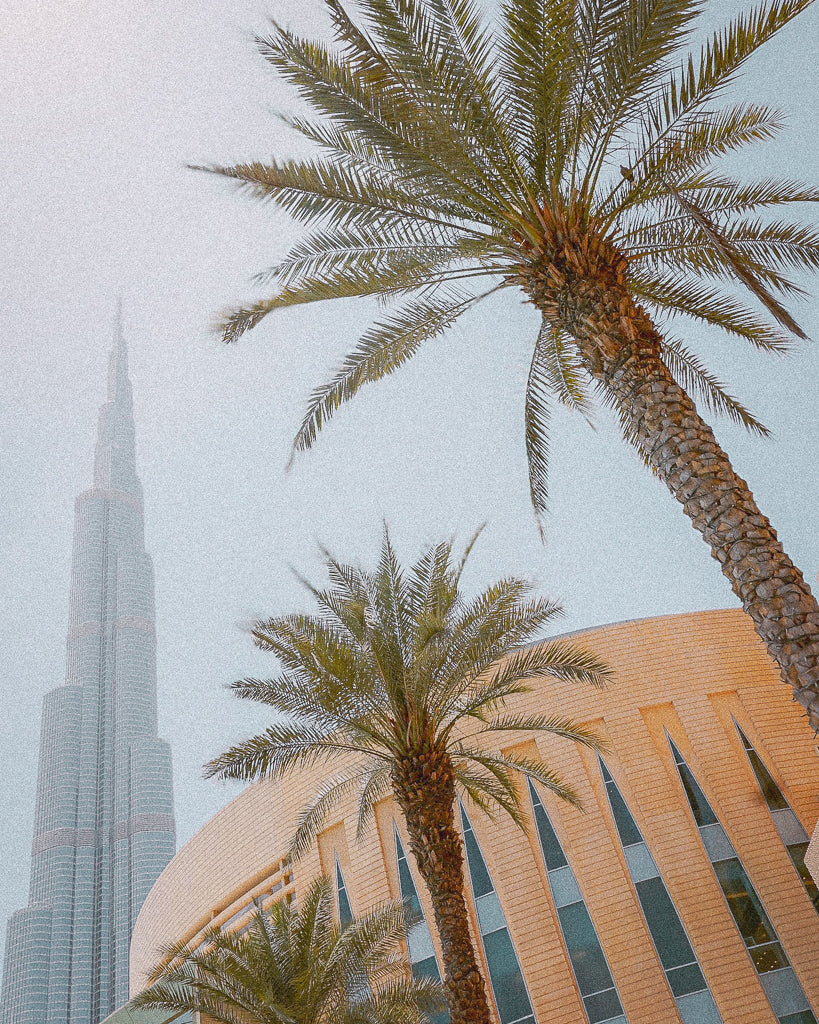 Buy a travel eSIM for United Arab Emirates