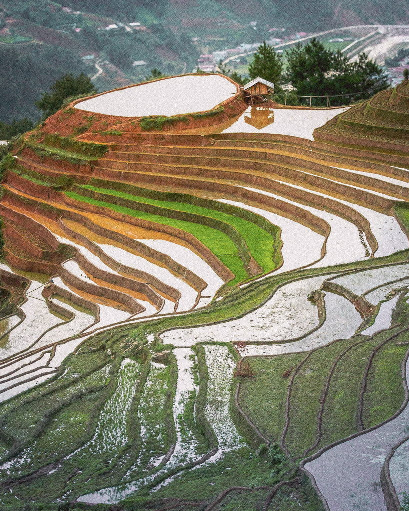 Buy a travel eSIM for Vietnam