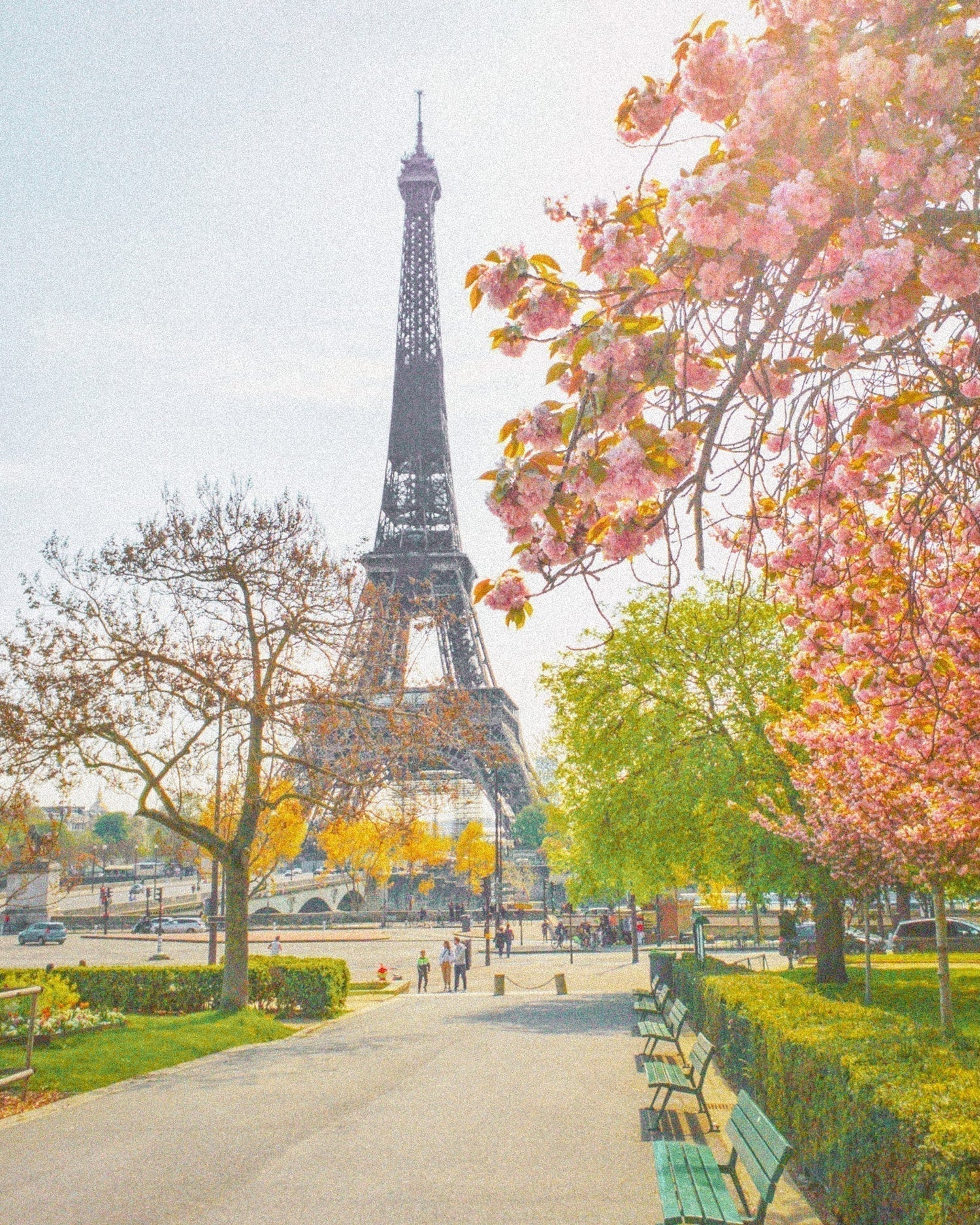 Buy a Travel eSIM for France