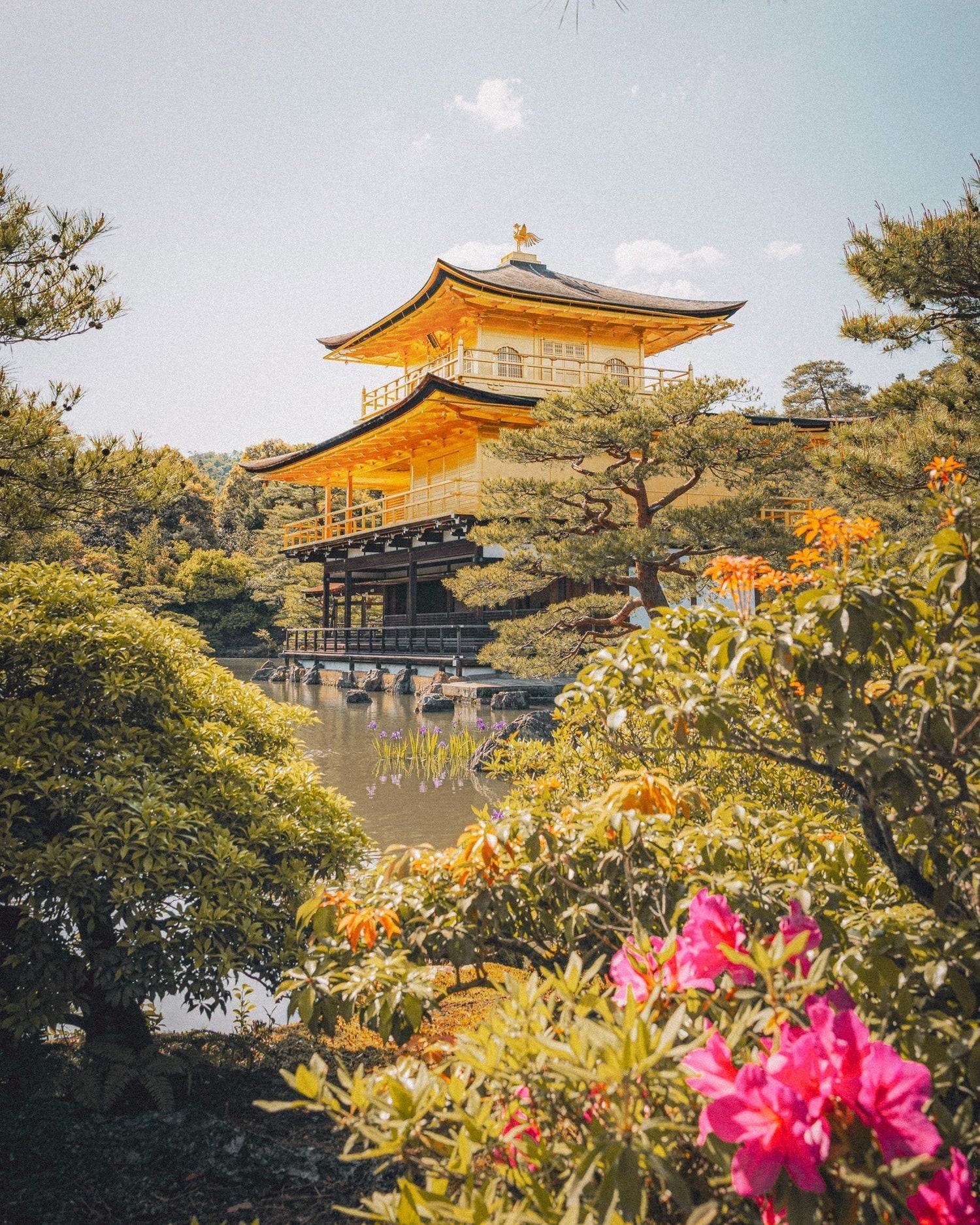 Keep Roaming in Japan for Less – With an eSIM!