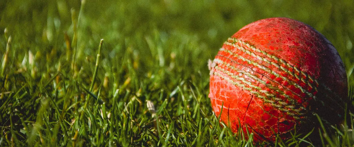 A cricket ball laying in some grass