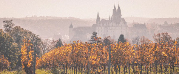 The Albrechtsburg castle and cathedral in Meissen, Germany