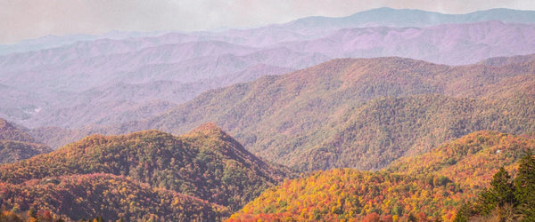The Blue Ridge Mountains in Georgia, USA