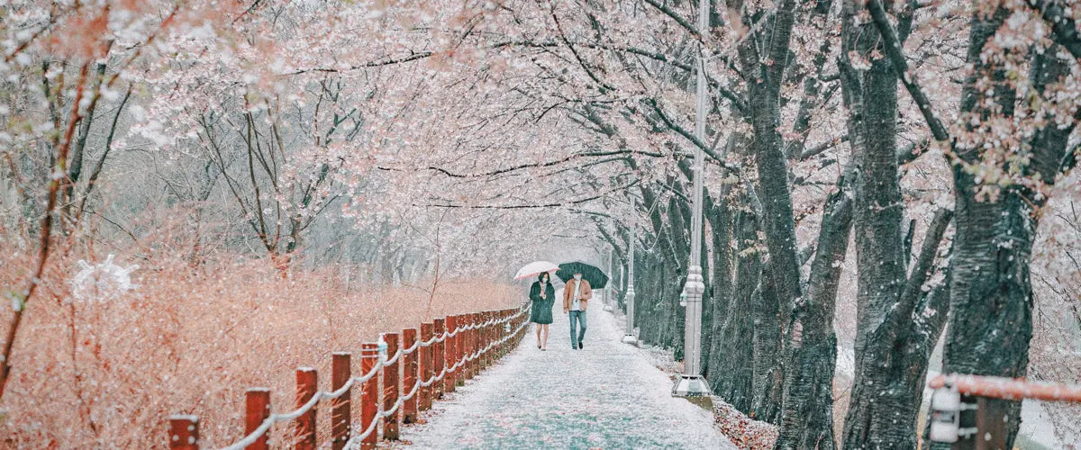 A couple walking in the Yangjae Citizen's Forest in Seoul, South Korea