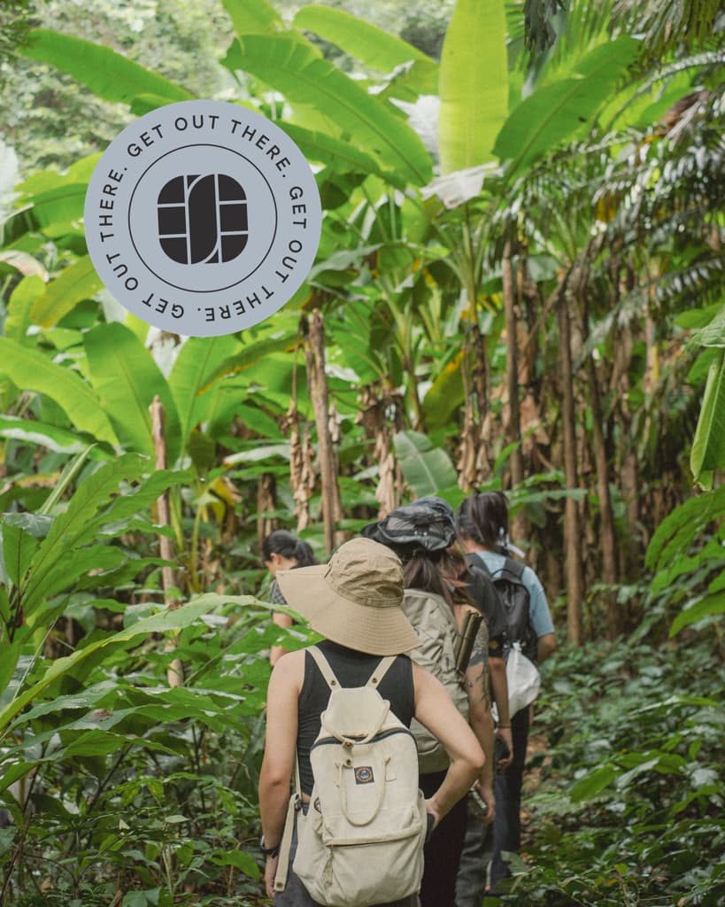 Ecotourism Examples That Are Changing Travel