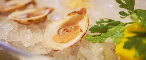 What Food is Boston Known For? Classic Local Dishes to Try