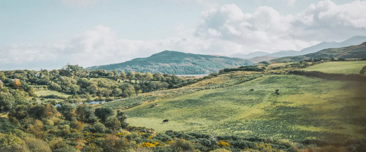 A view of the countryside surrounding the River of Kerry, Ireland
