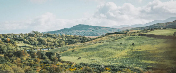 A view of the countryside surrounding the River of Kerry, Ireland