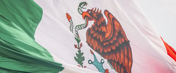 A close-up of the Mexican flag