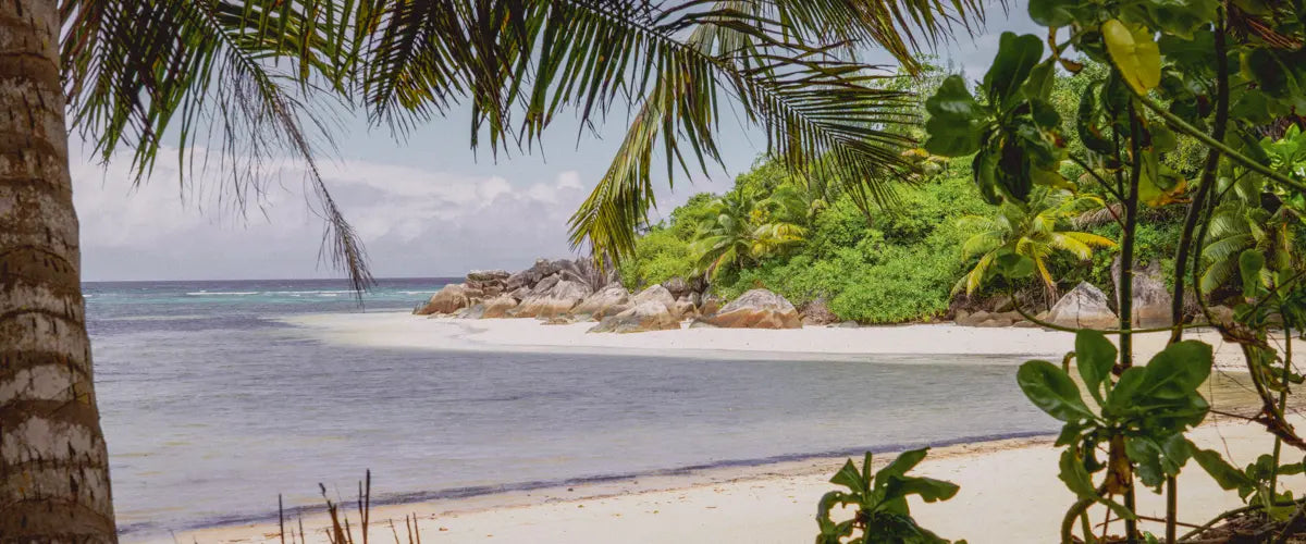 Seychelles Roaming Secrets: The Best Way to Stay Online on Island Time