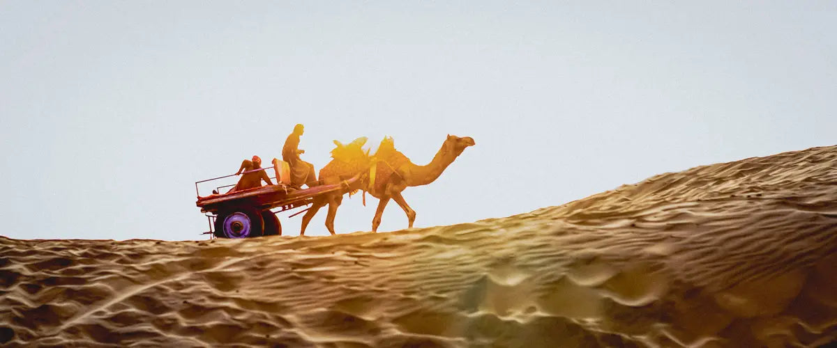 People riding a camel across the Indian desert