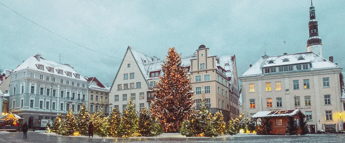 Estonia Digital Nomad Visa Explained