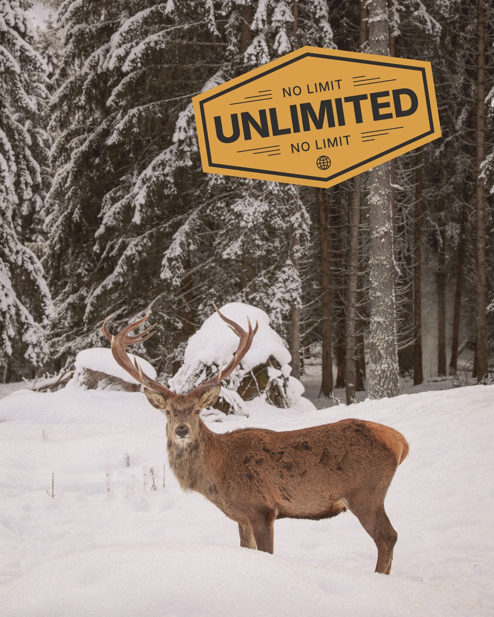 Finland eSIM Unlimited Data