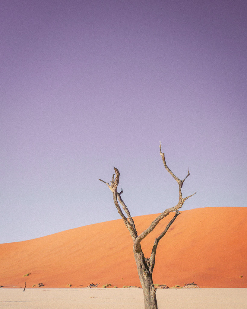 Buy a travel eSIM for Africa