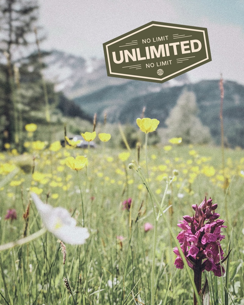 eSIM pour l'Autriche