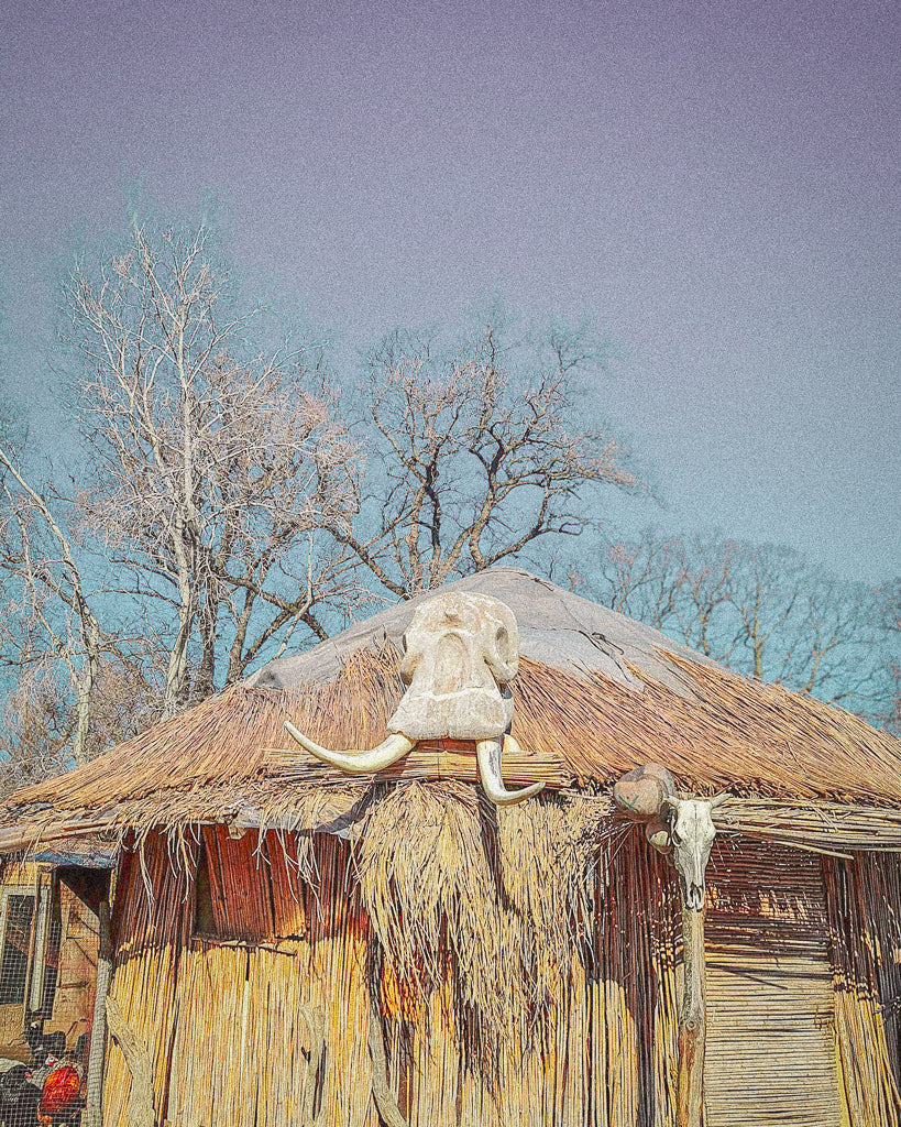 Buy a travel eSIM for Chad