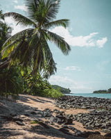 Buy a travel eSIM for French Guiana