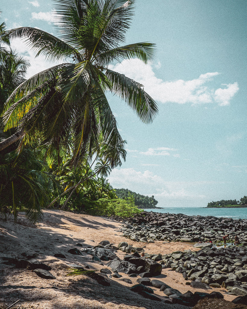 Buy a travel eSIM for French Guiana