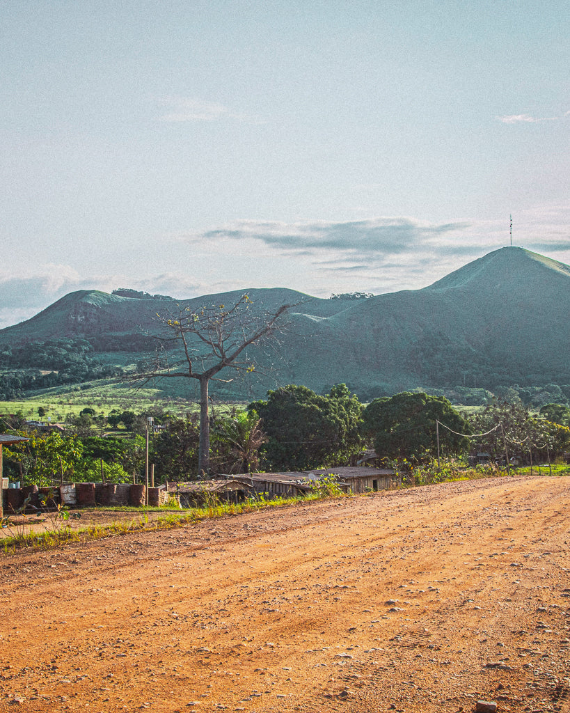 Buy a travel eSIM for Gabon